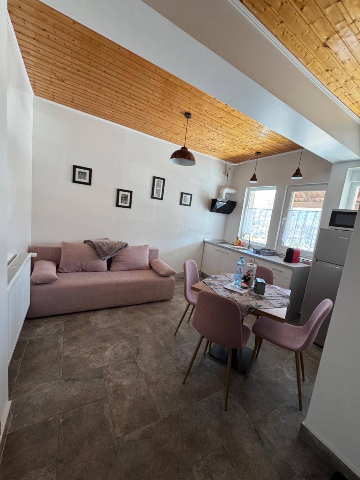 Red Family Apartments Păltiniş Екстериор снимка